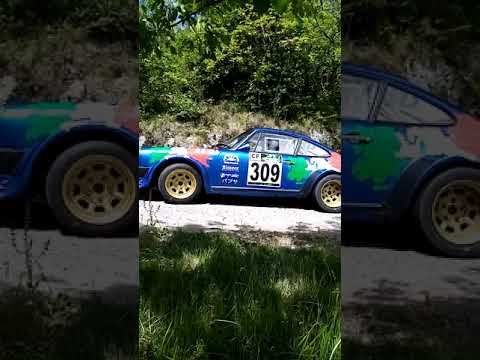 Rally della Valpolicella 08.05.2021