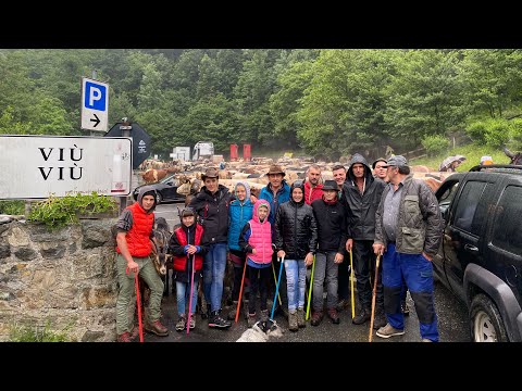 #transumanza mandria Giuliano Benedetto e Anita Rocci un concerto di “Rudun”in val di Lanzo (TO)