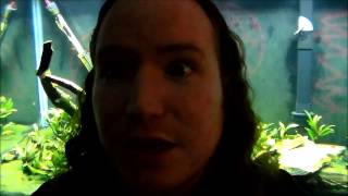 Album Review: "Deadlands" by Madder Mortem -- Review by Display of Disgrace