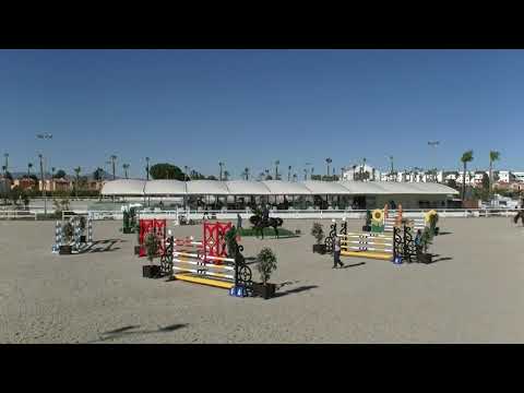 Necofino von Nerrado - Dirk Ahlmann