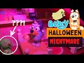 BLUEY Halloween Nightmare ️ Full Episode Pretend Play With Bluey Toys Disney Jr ABC Kids