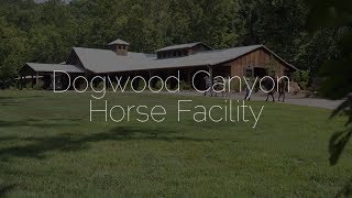 Dogwood Canyon Horse Facility