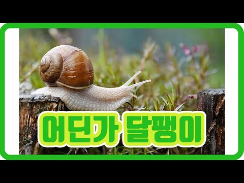 [더 촌][The Chon] Vol.1 어딘가달팽이