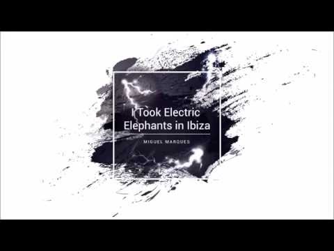 Jay Hardway vs Mike Posner (Seeb Remix) - I Took Electric Elephants in Ibiza