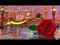 लिया जब से मैंने ये नाम मुहम्मद
