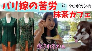 バリ嫁の苦労とクロボカンの犬カフェで癒される関西人の日常| Istri orang Bali Vlog」【481】