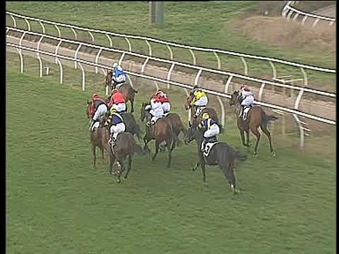 Galoppo 03/02/2018 - 1ª corsa