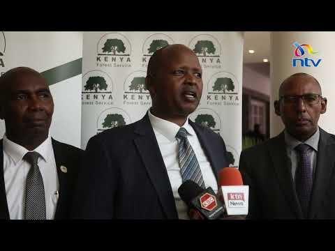 It will cost KES 600B to plant 15 billion trees: Alex Lemarkoko, Chief Conservator of Forests - KFS