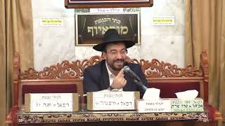 הרב מיכאל רביע | פרשת וישלח | מוסאיוף | תשפ"ד