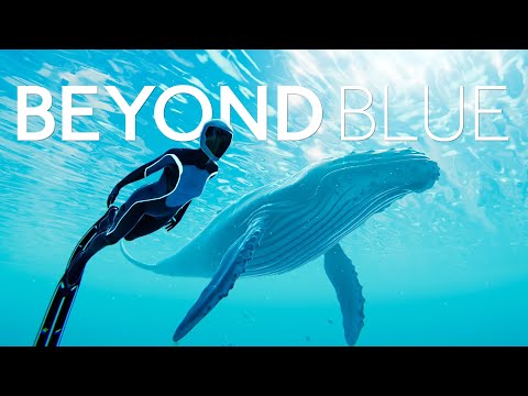 Видео Beyond Blue #1