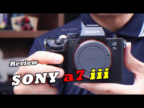 SONY Alpha 7 Mark iii (a7iii) Review 2024