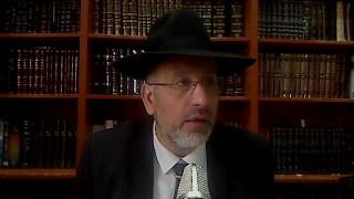 Le jeune des premiers nes