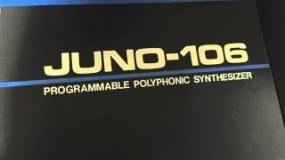 106 Juno Street - Julien Di Caro