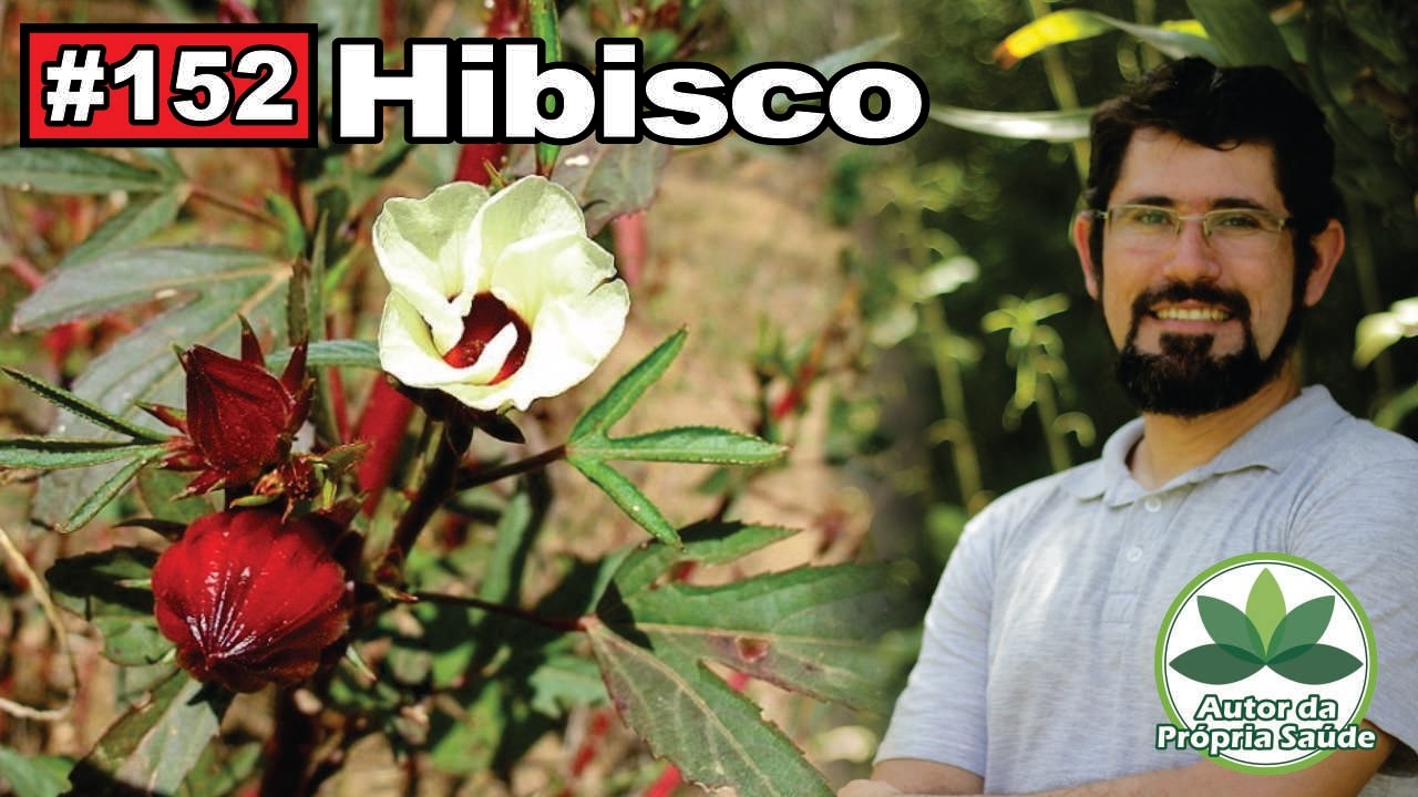 Autor da Própria Saúde - Hibisco [hipertensão, obesidade, colesterol, câncer],