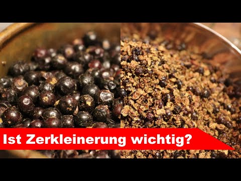🌷 Ist Zerkleinern wichtig? 🌻 - Einfluss Größe zu Ausbeute - ätherische Öle selber machen - diSTILLed