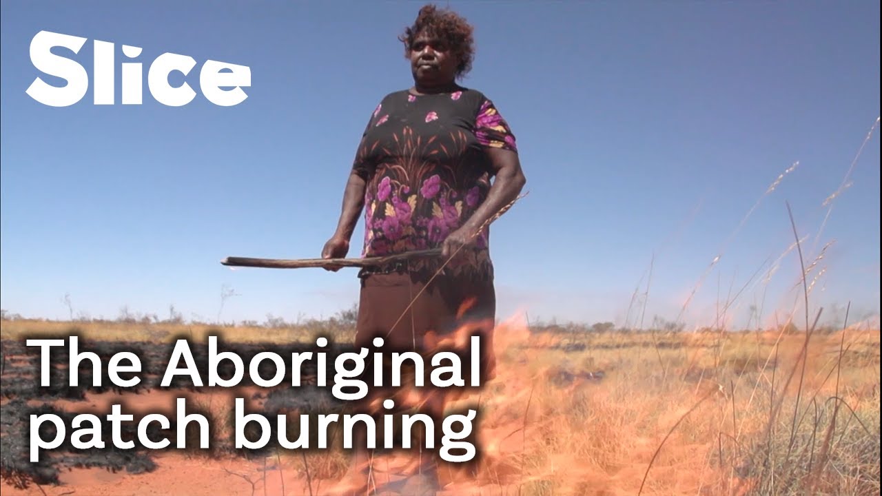 How Aboriginal Australians use fire to help the ecosystem | SLICE
