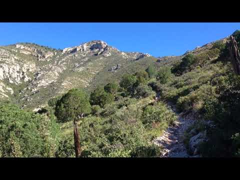 Hiking the Tejas Trail to Hunters Peak