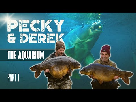 Autumn Fishing for Big Carp in France | Darrell Peck & Derek Harrison | Extract Part 1 of 2