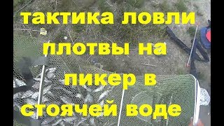 Ссылка