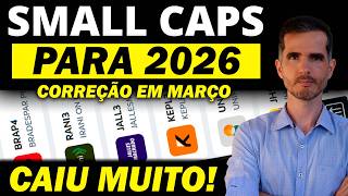 SMALL CAPS PARA 2026 - DIVIDENDO ESTIMADO, DATA COM E LUCROS - 3 AÇÕES CAINDO - KEPL3, JALL3, RANI3