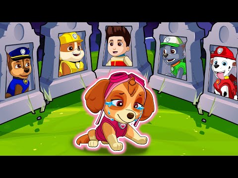 My Friends !!! Please Come Back To Me - So Sad Story | Paw Patrol Ultimate Rescue | Rainbow 3