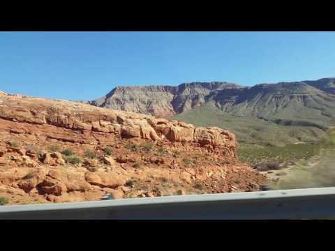 Adventure in Utah - Yamadori - Subalpine Firs