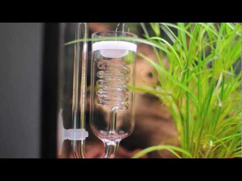 Watch Video on YouTube