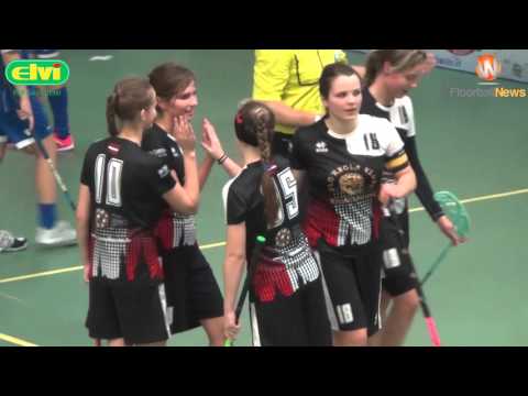 ELVI FL: FK Ķekava - Rīgas Lauvas 6:3 (17.11.2015)