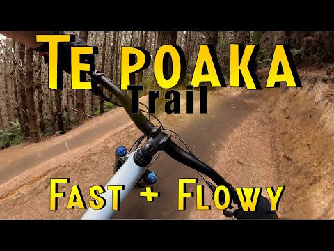 Te Poaka - Revisiting after a couple months | Fast and Flowy