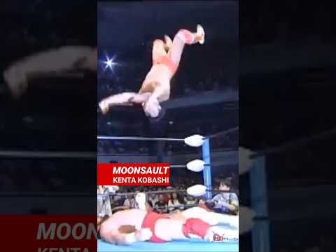 The best AJPW 1993 - 1996 finisher was _______