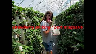 quarter past (the byron bay) hour / 2015