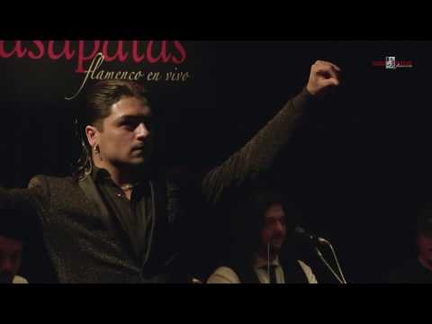 CASA PATAS, FLAMENCO EN VIVO #332 - EL CARPETA, BAILAOR