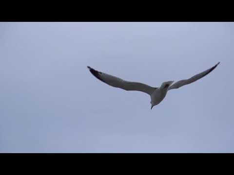 Solarpiano - Elements