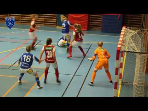 HAIFPlay: Highlights Hofors AIF - Sandvikens IF 2-10 (2-4)