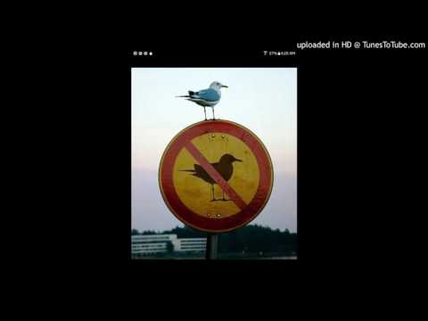 The Purist  - Patina Feat. Roc Marciano