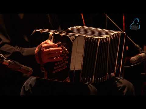 Insensatez (Antônio Carlos Jobim- Arr: Néstor Marconi)  - Marconi / Navarro - Día del Bandoneón 2013