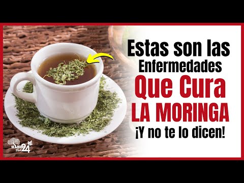 🔥 LEARN ABOUT EVERYTHING MORINGA HEALS THAT YOU DON'T KNOW ➜ WHAT MORINGA IS FOR