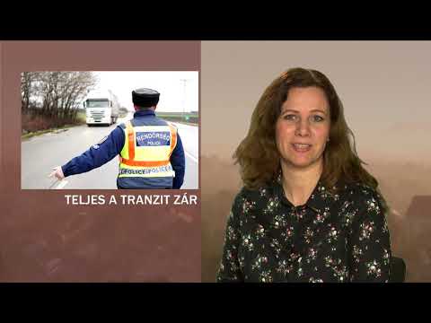 JTV Híradó 2020/11 - 2020.03.15.