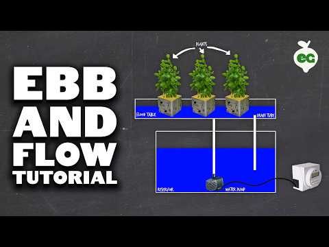 How to Set Up an Ebb and Flow DIY Hydroponics System (Flood and Drain)