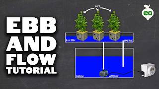 Thumbnail for video: How to Set Up an Ebb and Flow DIY Hydroponics System (Flood and Drain)