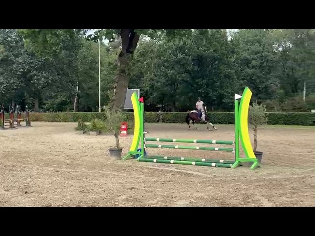 Jumping practice round at home L’Ideal D’Orchidea (Quel Homme de Hus x Camaro).