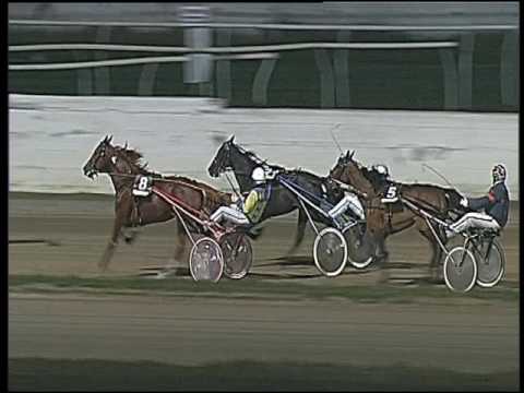 Trotto 16/12/2016 - 8ª corsa - TRIS