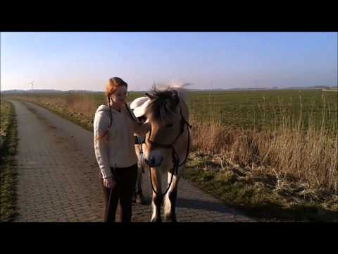 3 - 2 - 1  [GO!] ~ | TRAILER |