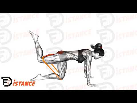 Exercice Kickback arrière élastique (à genoux)