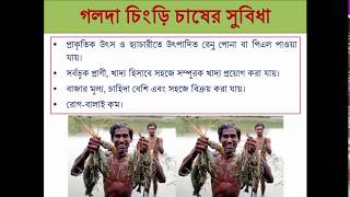 আধুনিক পদ্ধতিতে গলদা চিংড়ি চাষ [Modern Culture System of Prawn]