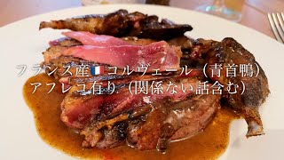 【料理radio】僕と青首鴨の思い出を語りながら🦆
