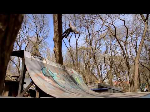 Gorilla(Nikulin Alexandr | BSD)