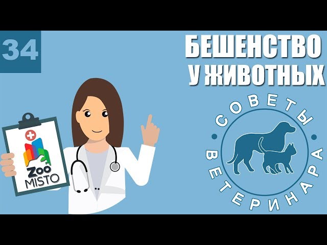 Бешенство у животных - Советы Ветеринара [Что делать после укуса? | Симптомы болезни]