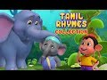 சின்ன யானை And More Animal Rhymes Tamil Rhymes For Children Infobells