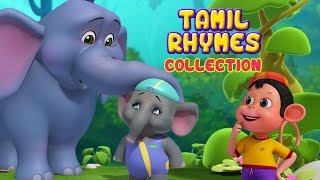சின்ன யானை and more Animal Rhymes | Tamil Rhymes for Children | Infobells